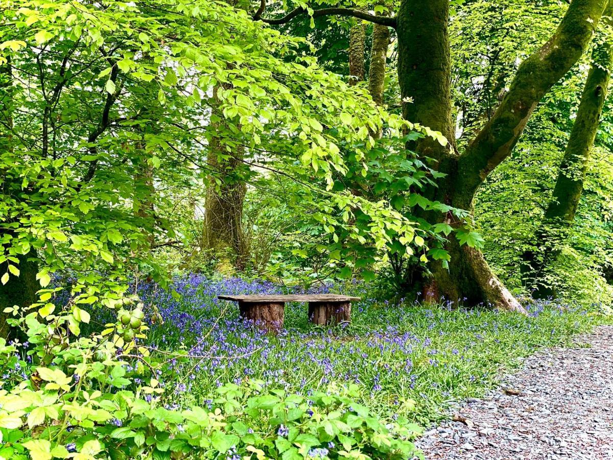 Snowdonia Holidays Caravan Hire - Aberdunant Park - 34 The Green Prenteg Екстериор снимка