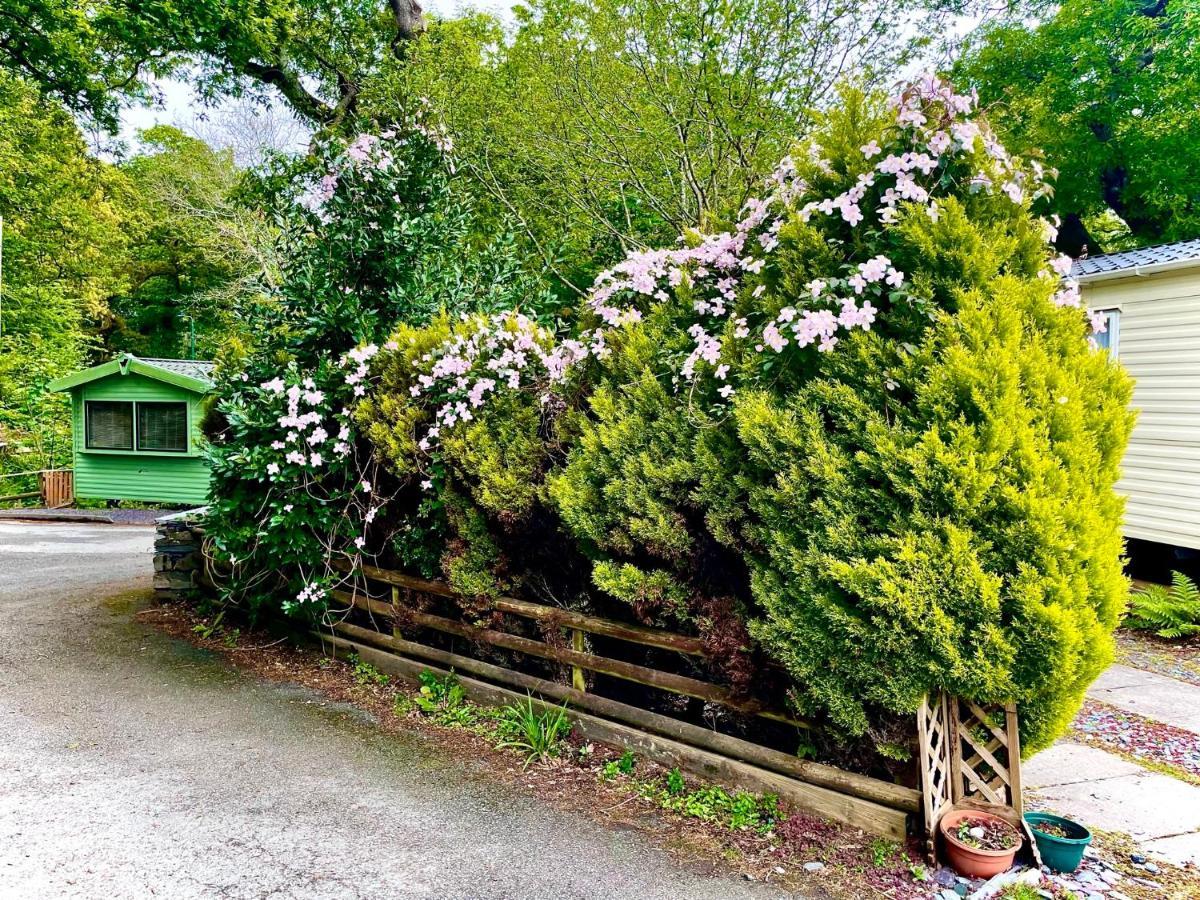Snowdonia Holidays Caravan Hire - Aberdunant Park - 34 The Green Prenteg Екстериор снимка