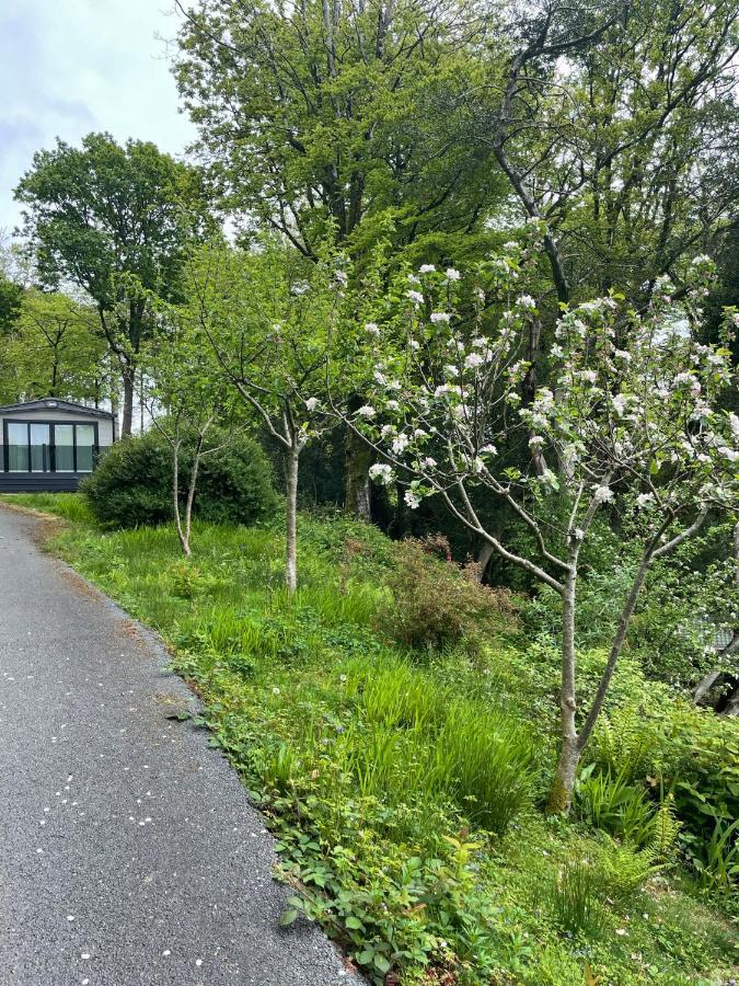 Snowdonia Holidays Caravan Hire - Aberdunant Park - 34 The Green Prenteg Екстериор снимка